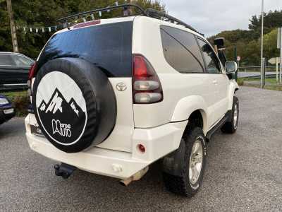 Imagen 1762541195_foto-7-11-25-17-50-40