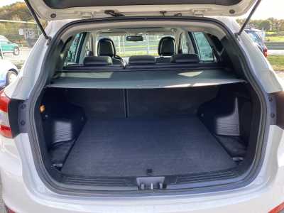 Imagen 1763405910_foto-17-11-25-14-01-12