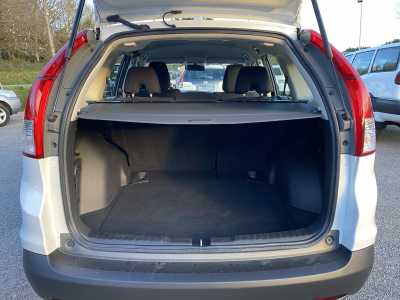 Imagen 1773773344_foto-17-3-26-19-10-42