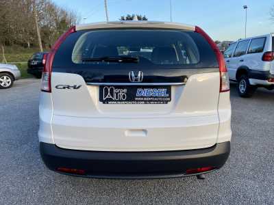 Imagen 1773773345_foto-17-3-26-19-10-48