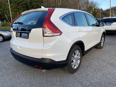 Imagen 1773773346_foto-17-3-26-19-10-58