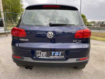 Imagen 1776350229_foto-8-4-26-19-11-13